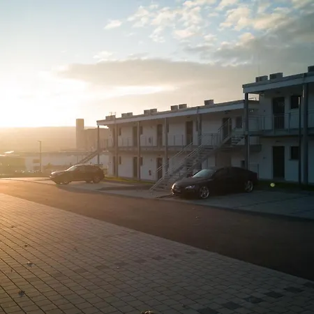 Oho - Digital Access Only