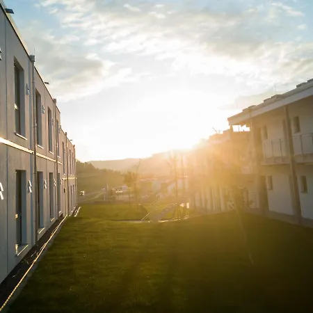 Oho - Digital Access Only