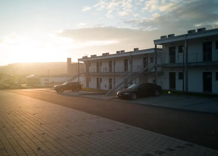 Oho - Digital Access Only