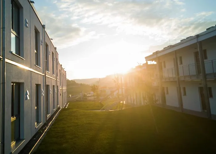 Oho - Digital Access Only