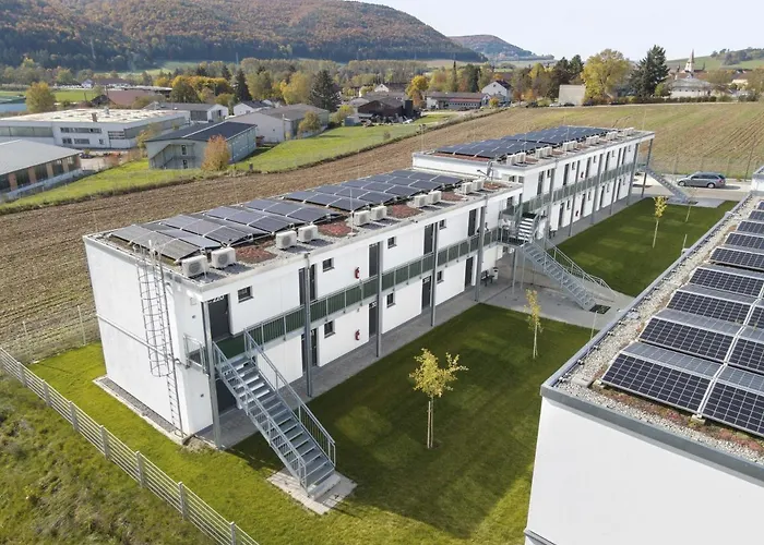 Oho - Digital Access Only